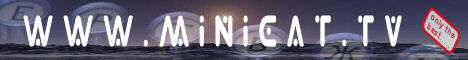 www.minicat.tv